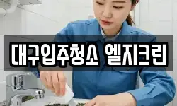 대구입주청소 엘지크린
