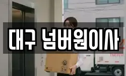 대구 넘버원이사