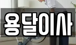 용달이사