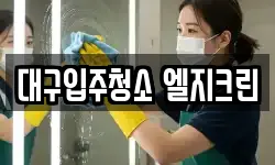 대구입주청소 엘지크린