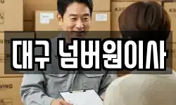 대구 넘버원이사
