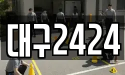 대구2424
