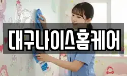 대구나이스홈케어