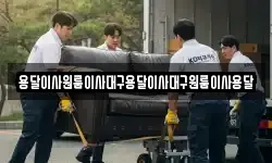 용달이사원룸이사대구용달이사대구원룸이사용달