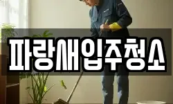 파랑새입주청소
