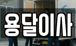 용달이사
