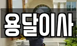용달이사