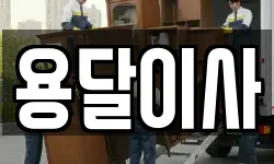 용달이사