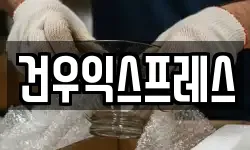 건우익스프레스