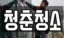 청춘청소