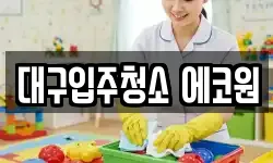 대구입주청소 에코원