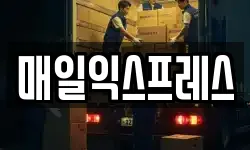 매일익스프레스