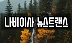 대구광역시 달성군 다사읍 이사,용달이사,포장이사,원룸이사,보관이사