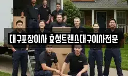 대구포장이사 효성트랜스대구이사전문