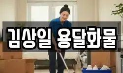 김상일 용달화물