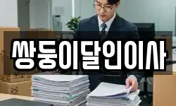 쌍둥이달인이사