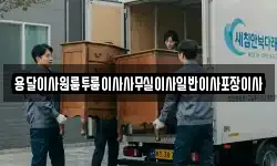용달이사원룸투룸이사사무실이사일반이사포장이사