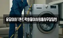 용달이사1톤트럭화물이사원룸사무실일반