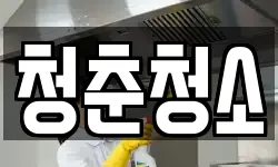 청춘청소
