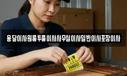 대구광역시 달성군 하빈면 이사,용달이사,포장이사,원룸이사,보관이사
