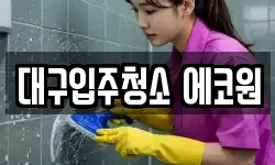 대구입주청소 에코원