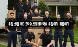 용달,화물,바이크탁송,오토바이탁송,용달이사,원룸이사
