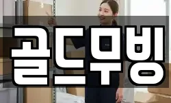 골드무빙