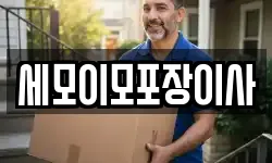 세모이모포장이사