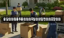용달이사원룸투룸이사사무실이사일반이사포장이사