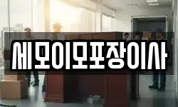 세모이모포장이사