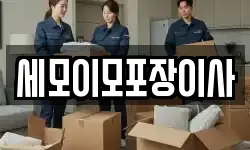 세모이모포장이사