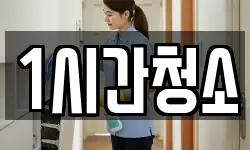 1시간청소