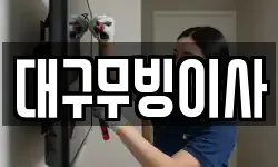 대구무빙이사