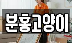 분홍고양이