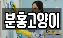 분홍고양이