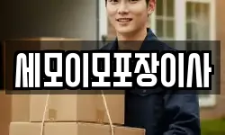 세모이모포장이사