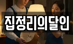 집정리의달인