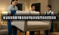 용달이사원룸투룸이사사무실이사일반이사포장이사
