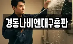 경동나비엔대구총판