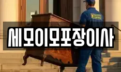 세모이모포장이사