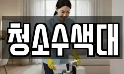 청소수색대