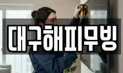 대구해피무빙