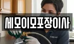세모이모포장이사