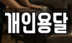 개인용달