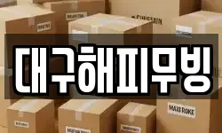 대구해피무빙
