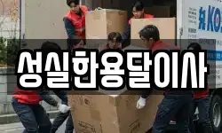 성실한용달이사
