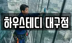 하우스테디 대구점
