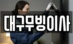 대구무빙이사