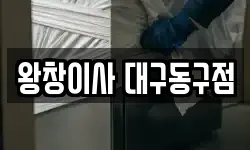 왕창이사 대구동구점