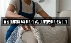 용달이사원룸투룸이사사무실이사일반이사포장이사